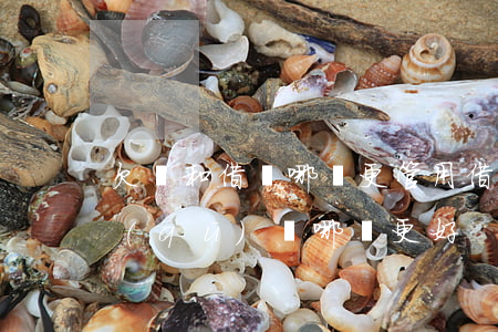 欠條和借條哪個更管用(借條和欠條有什么區(qū)別 哪個更好)