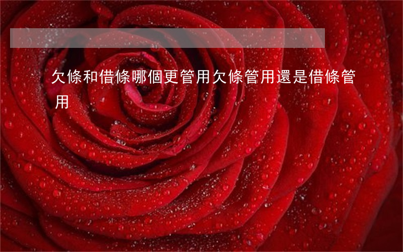 欠條和借條哪個更管用(欠條管用還是借條管用)