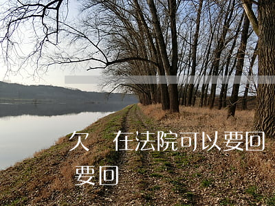 欠條在法院可以要回來嗎(打了欠條的欠款能要回來嗎)