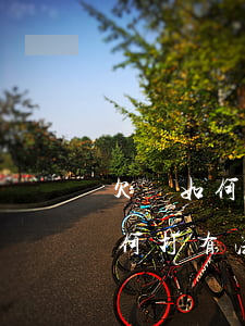 欠條如何打有法律效應(yīng)，欠條如何打有法律效應(yīng)圖片