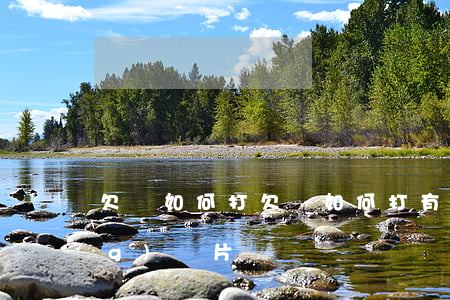 欠條如何打(欠條如何打有法律效應(yīng)圖片)