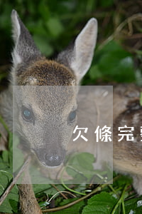 欠條完整寫法(欠條的正確寫法范本)