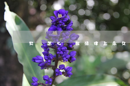 欠條怎么寫在法律上永久生效(法律有效的欠條)