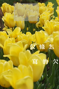 欠條怎么寫才有法律效應(yīng)(自己寫的欠條有法律效應(yīng)嗎)