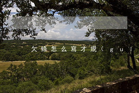 欠條怎么寫才規(guī)范(怎么樣寫欠條)