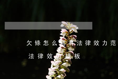 欠條怎么寫有法律效力 范本(欠條如何寫才有法律效力模板)