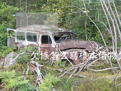 欠條怎么寫 樣本(借物欠條怎么寫 樣本)