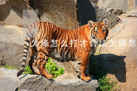 欠條怎么打才合法(欠條怎么打才正規(guī))