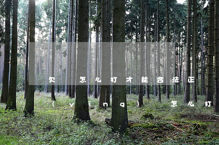 欠條怎么打才能合法(正規(guī)欠條應(yīng)該怎么打)