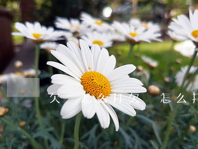 欠條怎么打(欠條怎么打有法律效果)