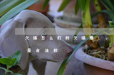欠條怎么打的(欠條應(yīng)該怎么打是合法的)
