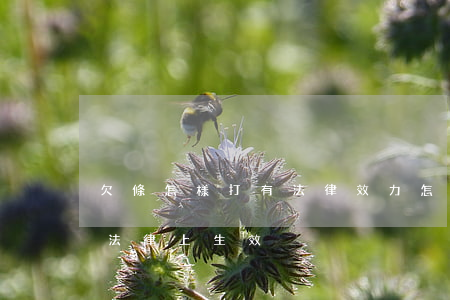 欠條怎樣打有法律效力(怎么樣打欠條才能在法律上生效)