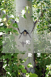欠條應(yīng)該怎么起訴(有欠條的欠款怎樣起訴)