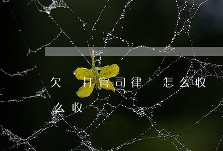 欠條打官司律師怎么收費(欠款的官司律師怎么收費)