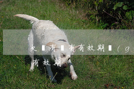 欠條有沒有有效期(個(gè)人欠條有沒有有效期)