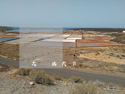 欠條格式下載