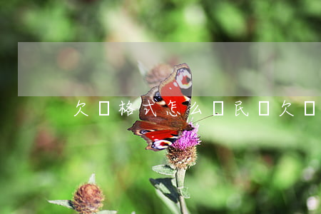 欠條格式怎么寫(民間欠條格式怎么寫)