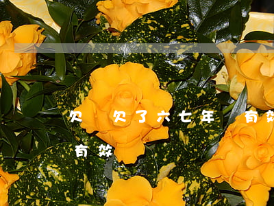 欠條欠了六七年還有效嗎(欠條欠了六七年還有效嗎)