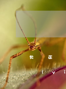 欠條正確的方法是怎么寫的(正確有效的欠條應(yīng)該怎么寫)