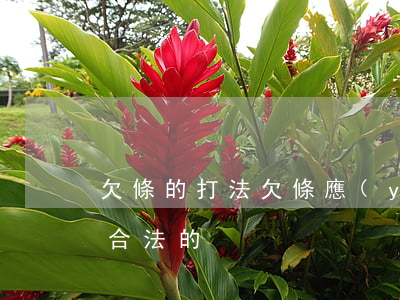 欠條的打法(欠條應(yīng)該怎么打是合法的)
