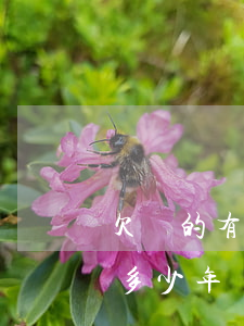 欠條的有效期是多少年(借條欠條的有效期是多少年)