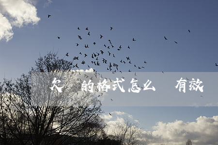 欠條的格式怎么寫有效