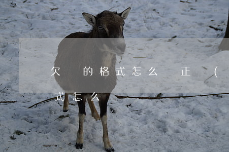欠條的格式怎么寫(正規(guī)欠條的格式怎么寫)