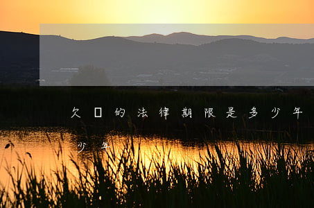 欠條的法律期限是多少年(欠條最長有效期多少年)