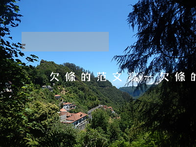 欠條的范文高一(欠條的范文高一)
