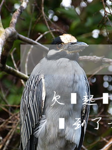 欠條起訴時間是多久(欠條是不是一定要等時間到了才可以起訴)