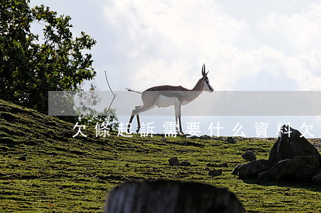 欠條起訴需要什么資料(欠條在哪起訴)