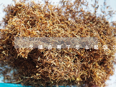 欠條逾期了怎么起訴(欠條逾期不還怎么起訴)