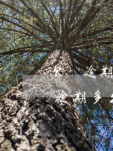 欠條逾期多久會(huì)被法院起訴(欠條逾期多久可以起訴)
