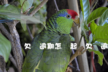欠條逾期怎樣起訴(欠條逾期了怎么辦)