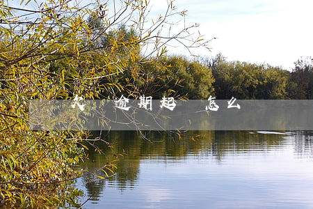 欠條逾期起訴怎么寫