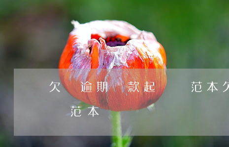 欠條逾期還款起訴狀范本(欠條逾期還款起訴狀范本)