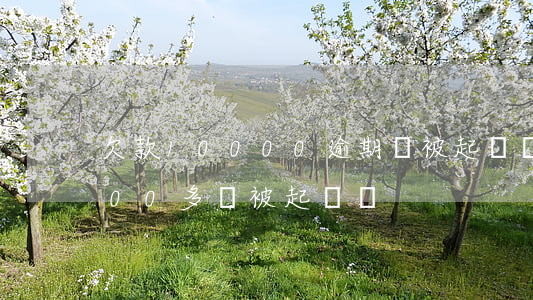 欠款10000逾期會被起訴嗎-逾期1000多會被起訴嗎