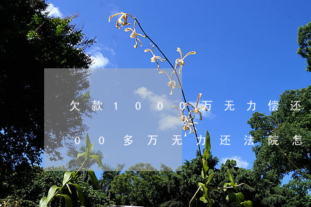 欠款1000万无力偿还坐牢多少年 欠1000多万无力还法院怎么判