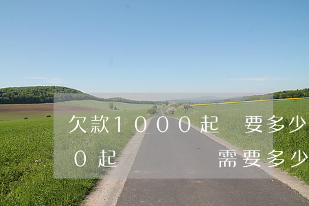 欠款1000起訴要多少費用(欠款12000起訴訴訟費需要多少錢)