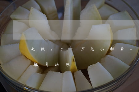 欠款100万怎么翻身-欠款100万怎么翻身还款