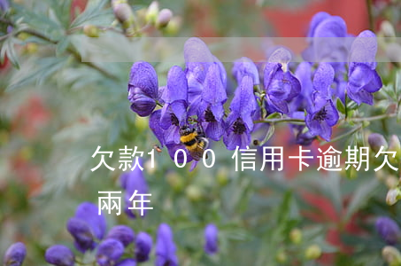 欠款100信用卡逾期 欠信用卡10萬逾期兩年