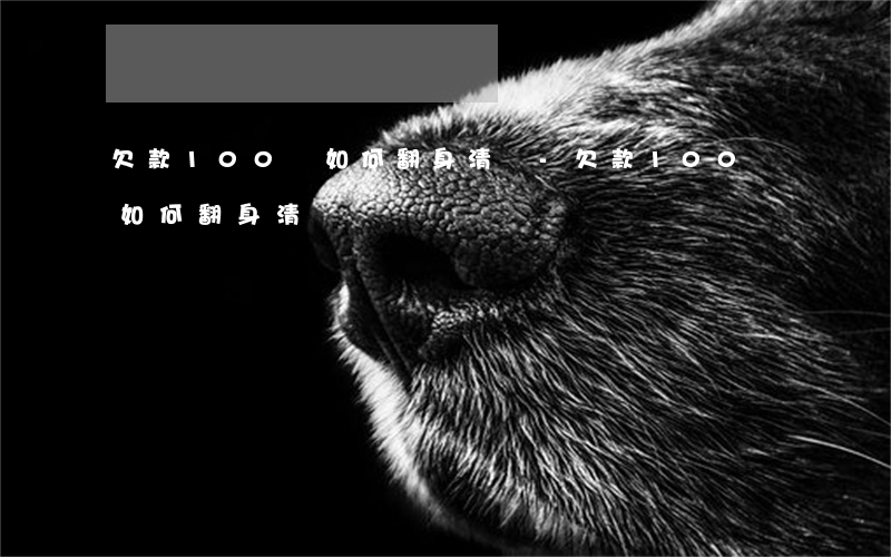 欠款100萬如何翻身清償-欠款100萬如何翻身清償