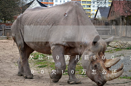 欠款10万月薪5000怎么还-月薪5000欠10万怎么还?