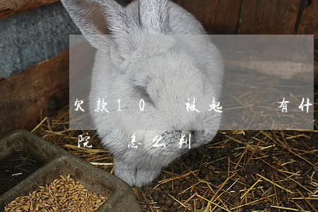 欠款10萬被起訴會有什么后果(欠款十萬法院會怎么判決)