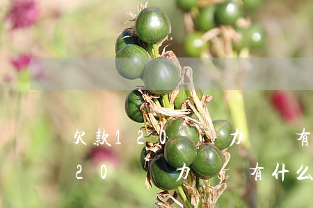 欠款120萬無力償還有什么后果-欠款120萬無力償還有什么后果?