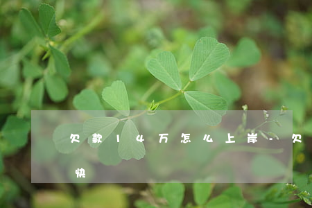 欠款14万怎么上岸-欠款14万怎么上岸快