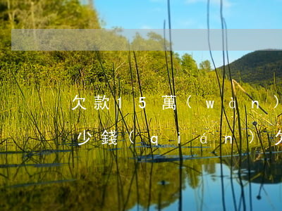 欠款15萬(wàn)起訴費(fèi)多少錢(qián)(欠款15萬(wàn)起訴費(fèi)多少錢(qián))