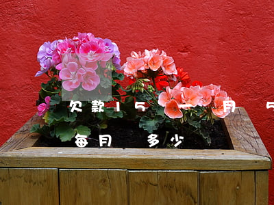 欠款15萬一個月還5000-15萬欠款每月還多少