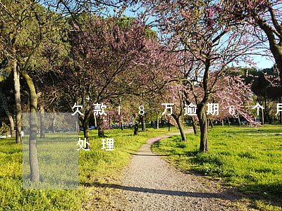 欠款18万逾期6个月怎么办(逾期7万如何处理)