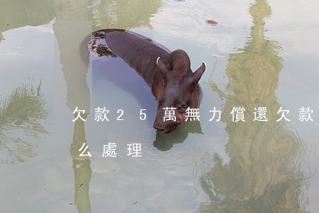 欠款25萬無力償還 欠款25萬無力償還怎么處理
